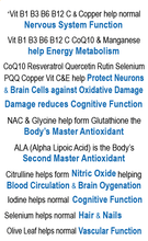 Load image into Gallery viewer, IQ3 & Pro Vitality 1 - VIRILITY, Male Performance, Fertility, Pregnancy & Nursing Support - Unisex - NMN & NAD+ Partner