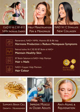 Load image into Gallery viewer, FEEL ALIVE - NMN-XR:  NMN Resveratrol + All Vitamins &amp; Minerals, Anti-Ageing, Energy, Virility &amp; Fertility, Peri &amp; Menopause Support - unisex
