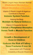 Load image into Gallery viewer, Immune 3 - Magnificent Mushrooms: Heart Brain Function + Vit D3 Beta Glucans &amp; Adaptogens
